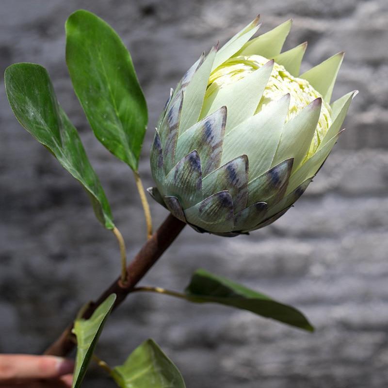 Protea Flower - Nordic Side - 