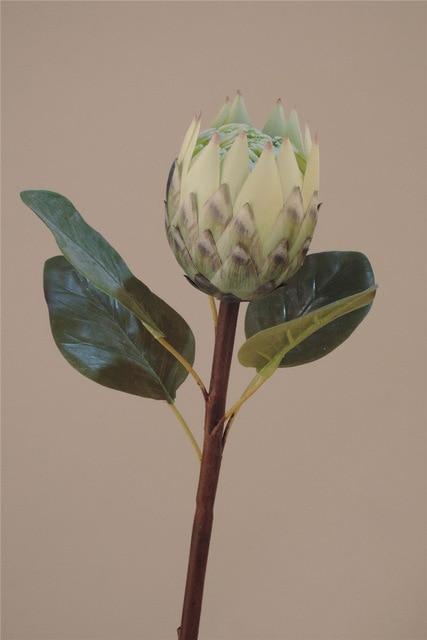 Protea Flower - Nordic Side - 