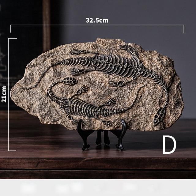 Dinosaur Fossil Specimen