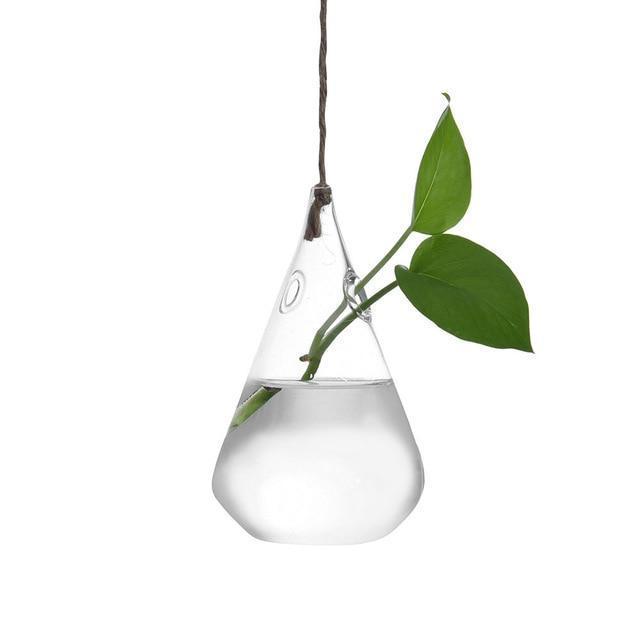 Hanging Glass Vase - Nordic Side - not-hanger, Plants